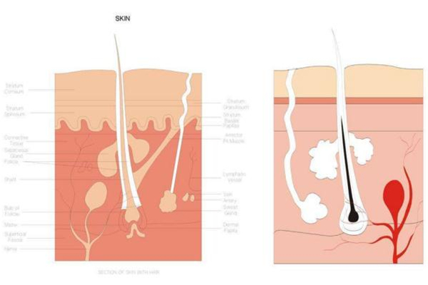 糾結(jié)身體乳哪個(gè)牌子好？從功效下手才穩(wěn)