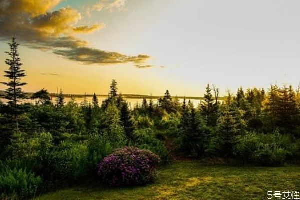 自己精神出軌了怎么辦 精神上出軌怎么辦 自己精神出軌了怎么辦 精神上出軌怎么辦