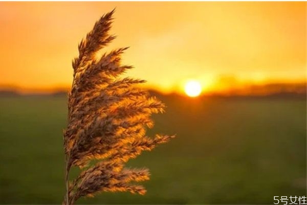 自己精神出軌了怎么辦 精神上出軌怎么辦 自己精神出軌了怎么辦 精神上出軌怎么辦