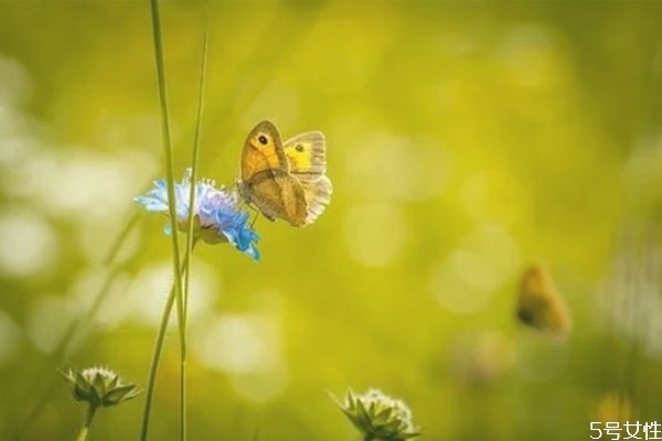 連架都懶得吵的婚姻怎么挽回 無話可說的婚姻怎么辦 連架都懶得吵的婚姻怎么挽回 無話可說的婚姻怎么辦