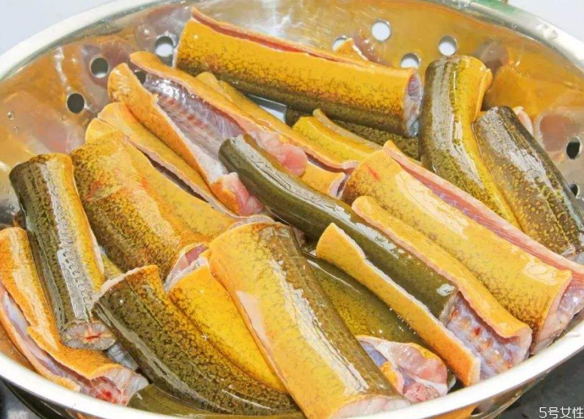 為什么黃鱔的頭不能吃 黃鱔的尾巴可以吃嗎 為什么黃鱔的頭不能吃 黃鱔的尾巴可以吃嗎