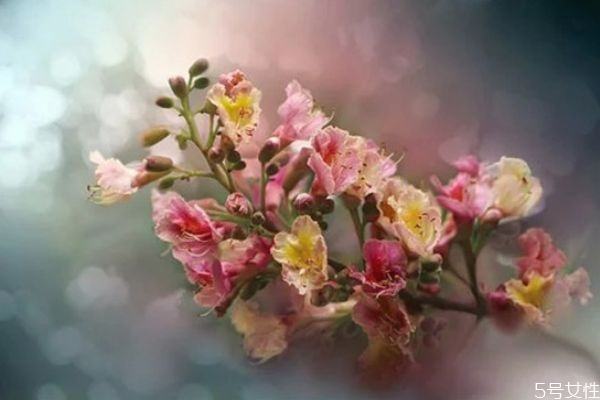 拒絕過的男生還能挽回么 男生放棄后還會(huì)回頭嗎