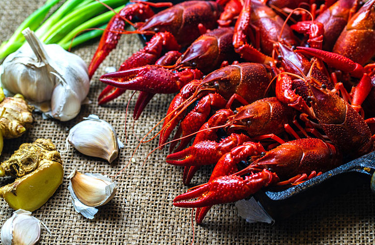 小龍蝦寄生蟲能煮死嗎 小龍蝦寄生蟲多嗎 小龍蝦寄生蟲能煮死嗎 小龍蝦寄生蟲多嗎