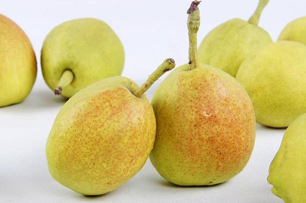 梨子有點(diǎn)爛了可以吃嗎 吃了爛梨子會(huì)怎樣 梨子有點(diǎn)爛了可以吃嗎 吃了爛梨子會(huì)怎樣