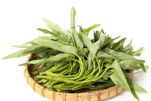 空心菜食用禁忌 空心菜不適合什么人食用 空心菜食用禁忌 空心菜不適合什么人食用