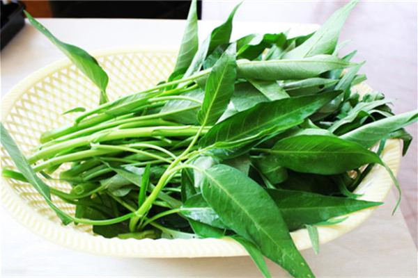 空心菜食用禁忌 空心菜不適合什么人食用 空心菜食用禁忌 空心菜不適合什么人食用