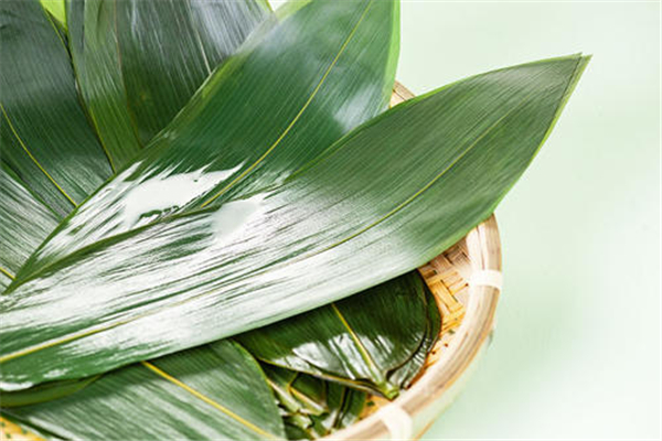 粽葉用熱水泡還是冷水泡 粽葉怎么泡不容易裂 粽葉用熱水泡還是冷水泡 粽葉怎么泡不容易裂