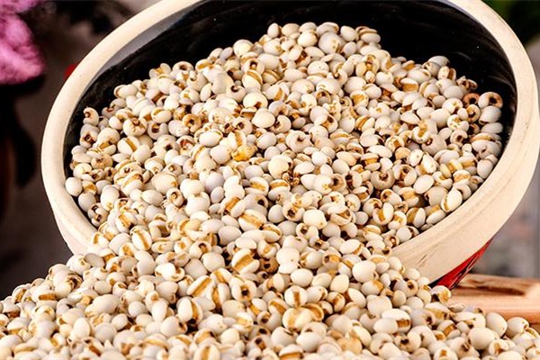 薏米可以打成豆?jié){喝嗎 薏米每次吃多少合適 薏米可以打成豆?jié){喝嗎 薏米每次吃多少合適