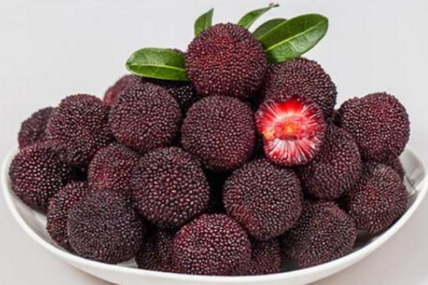 楊梅可以泡水喝嗎 楊梅泡水喝的功效 楊梅可以泡水喝嗎 楊梅泡水喝的功效