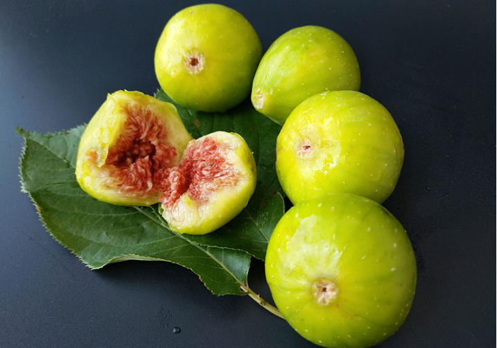 無(wú)花果葉子泡酒可以治療白斑嗎 無(wú)花果葉煮水治療婦科炎癥 無(wú)花果葉子泡酒可以治療白斑嗎 無(wú)花果葉煮水治療婦科炎癥