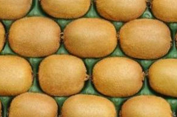 吃獼猴桃過敏什么癥狀 吃獼猴桃過敏怎樣緩解 吃獼猴桃過敏什么癥狀 吃獼猴桃過敏怎樣緩解