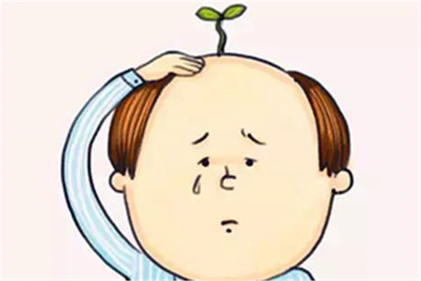 防脫洗發(fā)水真的有用嗎 防脫洗發(fā)水哪個牌子的效果好 防脫洗發(fā)水真的有用嗎 防脫洗發(fā)水哪個牌子的效果好