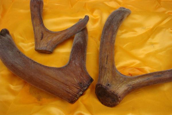 鹿茸會(huì)不會(huì)上火 鹿茸吃了上火怎么辦 鹿茸會(huì)不會(huì)上火 鹿茸吃了上火怎么辦