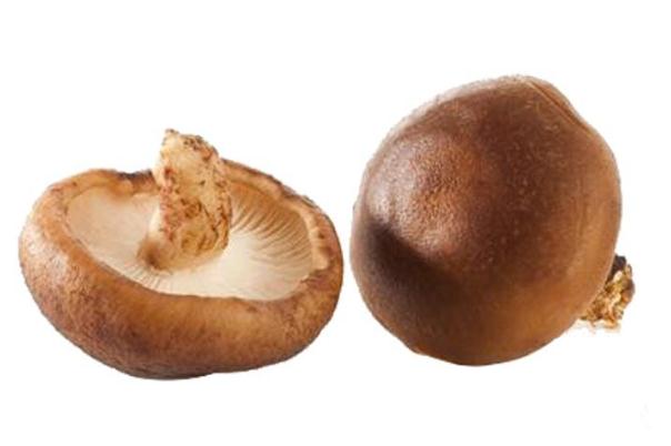 香菇會過敏嗎 香菇過敏怎么辦 香菇會過敏嗎 香菇過敏怎么辦