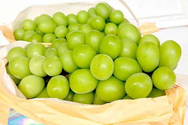 青提的營養(yǎng)價值 青提的皮可以吃嗎 青提的營養(yǎng)價值 青提的皮可以吃嗎