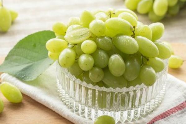 青提的營養(yǎng)價值 青提的皮可以吃嗎 青提的營養(yǎng)價值 青提的皮可以吃嗎