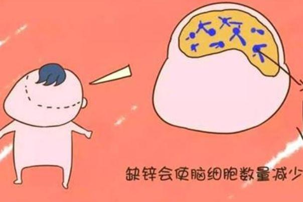 寶寶缺鋅會引起什么癥狀 寶寶缺鋅會影響睡眠嗎 寶寶缺鋅會引起什么癥狀 寶寶缺鋅會影響睡眠嗎