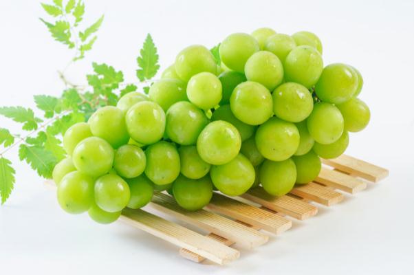 青提的營養(yǎng)價值 青提的皮可以吃嗎 青提的營養(yǎng)價值 青提的皮可以吃嗎