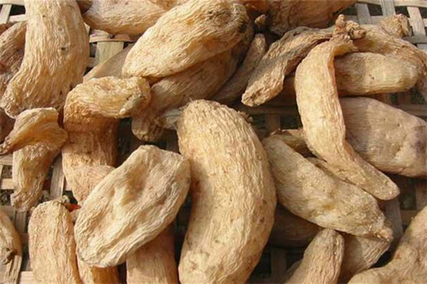 天麻怎么吃效果最好 天麻吃了會(huì)上火嗎 天麻怎么吃效果最好 天麻吃了會(huì)上火嗎