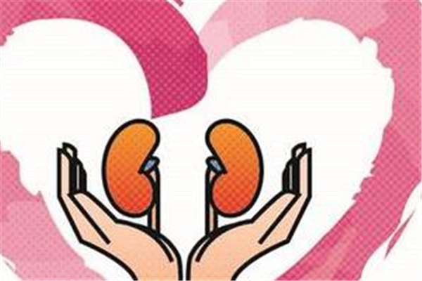 腎炎跟糖尿病有關(guān)系嗎 腎炎跟什么有關(guān) 腎炎跟糖尿病有關(guān)系嗎 腎炎跟什么有關(guān)