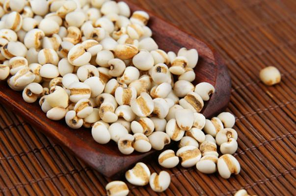 薏米要提前泡水嗎 薏米有股霉味正常嗎 薏米要提前泡水嗎 薏米有股霉味正常嗎