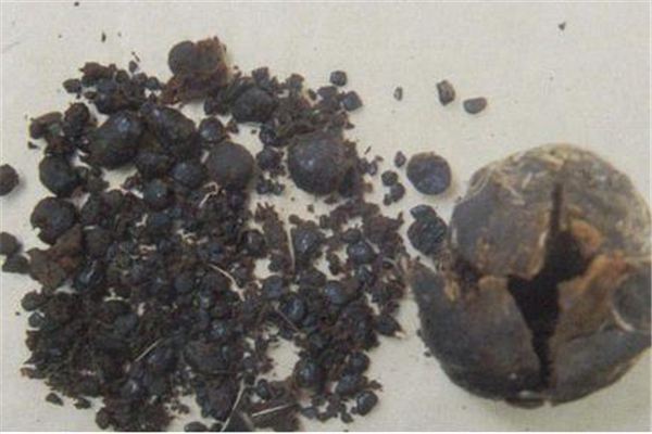 麝香會(huì)導(dǎo)致月經(jīng)不正常嗎 麝香會(huì)影響月經(jīng)嗎 麝香會(huì)導(dǎo)致月經(jīng)不正常嗎 麝香會(huì)影響月經(jīng)嗎