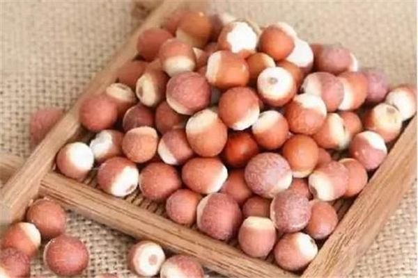 芡實(shí)要炒熟嗎 芡實(shí)炒過和沒炒過的區(qū)別 芡實(shí)要炒熟嗎 芡實(shí)炒過和沒炒過的區(qū)別