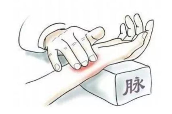 把脈怎么看出懷孕 把脈怎么看出男女 把脈怎么看出懷孕 把脈怎么看出男女