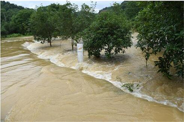洪水襲來妻子遇難前發(fā)訣別短信 洪水來了怎么自救 洪水襲來妻子遇難前發(fā)訣別短信 洪水來了怎么自救