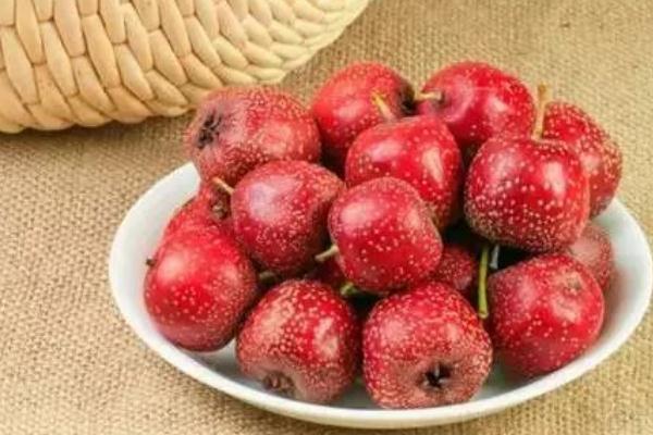 山楂可以降血壓?jiǎn)?山楂對(duì)膽結(jié)石有好處嗎 山楂可以降血壓?jiǎn)?山楂對(duì)膽結(jié)石有好處嗎