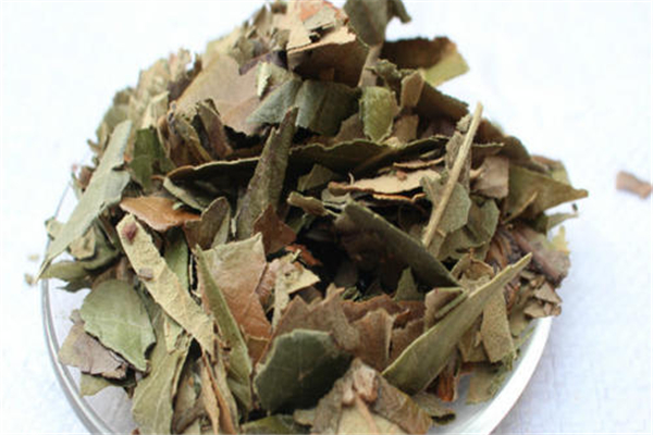 枇杷葉適合風(fēng)寒咳嗽嗎 枇杷葉適合什么咳嗽 枇杷葉適合風(fēng)寒咳嗽嗎 枇杷葉適合什么咳嗽