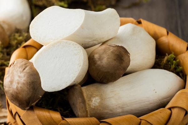 杏鮑菇有點苦 吃了發(fā)苦的杏鮑菇會不會中毒 杏鮑菇有點苦 吃了發(fā)苦的杏鮑菇會不會中毒