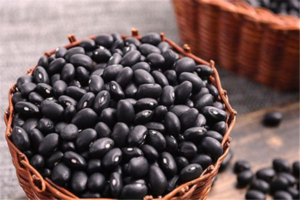 黑豆怎么吃補(bǔ)腎效果好 黑豆的功效和作用 黑豆怎么吃補(bǔ)腎效果好 黑豆的功效和作用