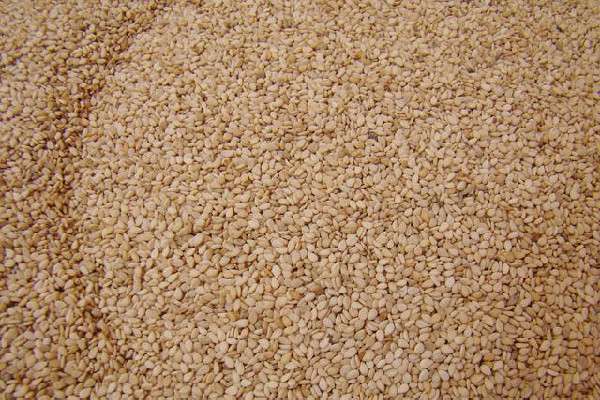 芝麻可以美容嗎 芝麻怎么吃效果最好 芝麻可以美容嗎 芝麻怎么吃效果最好