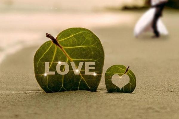 婚姻的本質(zhì)到底是什么 面對婚姻年輕人在憂慮什么 婚姻的本質(zhì)到底是什么 面對婚姻年輕人在憂慮什么