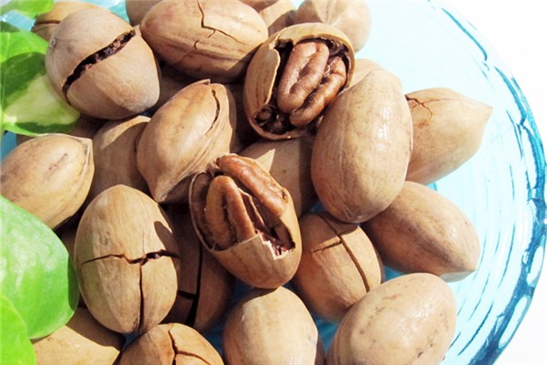 碧根果生吃好吃嗎 碧根果生吃還是熟吃好 碧根果生吃好吃嗎 碧根果生吃還是熟吃好