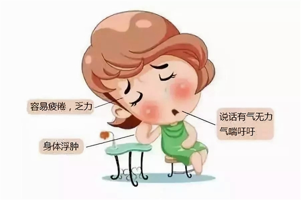 氣血不足會導致脫發(fā)嗎 氣血不足對身體造成哪些影響