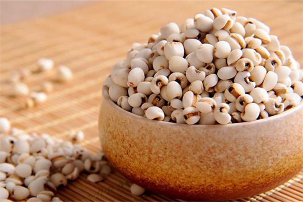 薏仁米是粗糧嗎 薏仁米是大的好還是小的好 薏仁米是粗糧嗎 薏仁米是大的好還是小的好