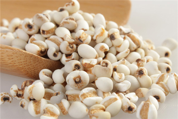 薏仁米是粗糧嗎 薏仁米是大的好還是小的好 薏仁米是粗糧嗎 薏仁米是大的好還是小的好