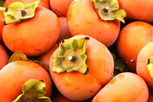 脆柿子孕婦能不能吃 脆柿子熱量 脆柿子孕婦能不能吃 脆柿子熱量