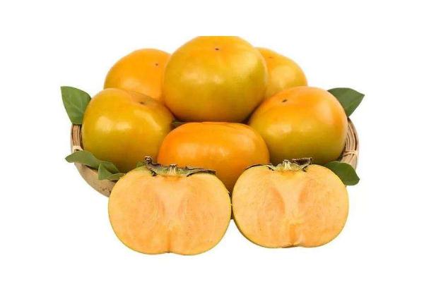 脆柿子孕婦能不能吃 脆柿子熱量 脆柿子孕婦能不能吃 脆柿子熱量