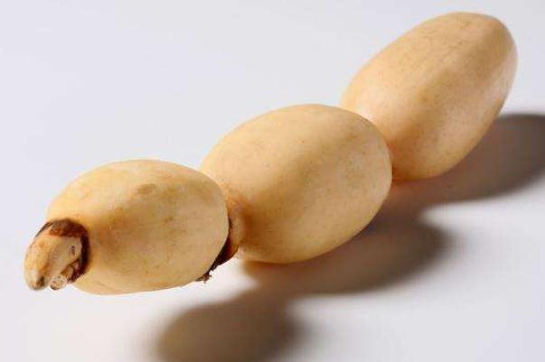 蓮藕對痛風有影響嗎 痛風可以吃蓮藕嗎 蓮藕對痛風有影響嗎 痛風可以吃蓮藕嗎