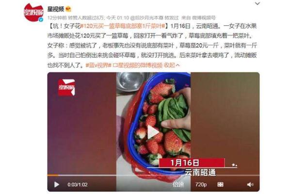 草莓什么季節(jié)成熟 120元買一籃草莓底部塞1斤菜葉 草莓什么季節(jié)成熟 120元買一籃草莓底部塞1斤菜葉