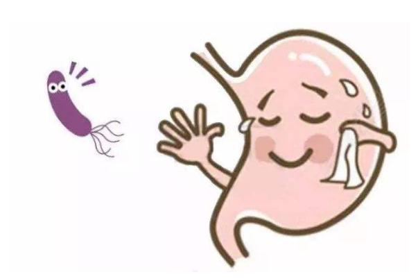 幽門螺桿菌的正常值范圍是多少 幽門螺桿菌傳染嗎傳播途徑是什么 幽門螺桿菌的正常值范圍是多少 幽門螺桿菌傳染嗎傳播途徑是什么