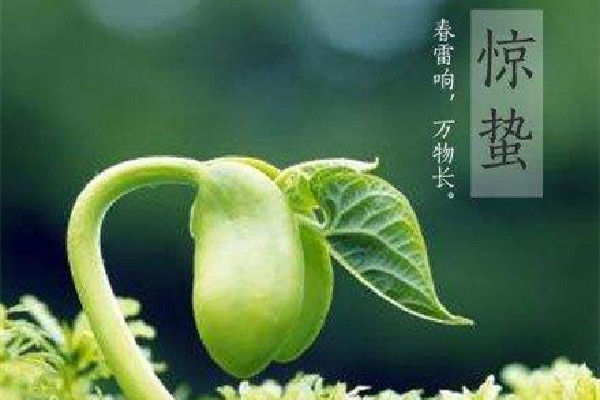 驚蟄是第幾個(gè)節(jié)氣 驚蟄是2022年的幾月幾日 驚蟄是第幾個(gè)節(jié)氣 驚蟄是2022年的幾月幾日