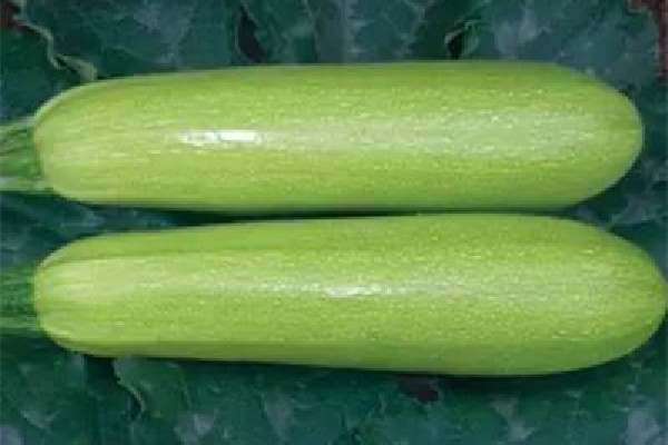 西葫蘆怎么調(diào)涼菜 西葫蘆可以生著吃嗎 西葫蘆怎么調(diào)涼菜 西葫蘆可以生著吃嗎