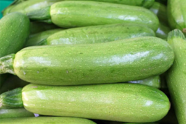 西葫蘆是什么季節(jié)的蔬菜 西葫蘆可以隔夜吃嗎 西葫蘆是什么季節(jié)的蔬菜 西葫蘆可以隔夜吃嗎