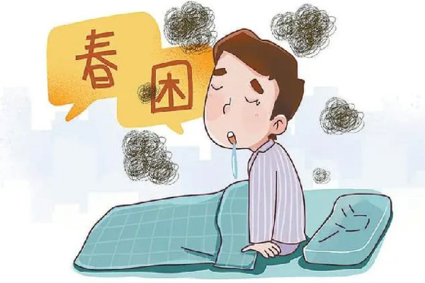 春困吃什么食物好 春困可以吃西洋參嗎 春困吃什么食物好 春困可以吃西洋參嗎