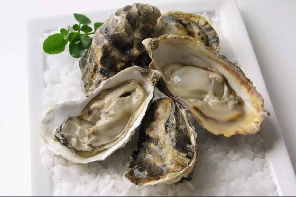 生蠔買(mǎi)回家怎么保存 生蠔可以冷凍起來(lái)保存嗎 生蠔買(mǎi)回家怎么保存 生蠔可以冷凍起來(lái)保存嗎