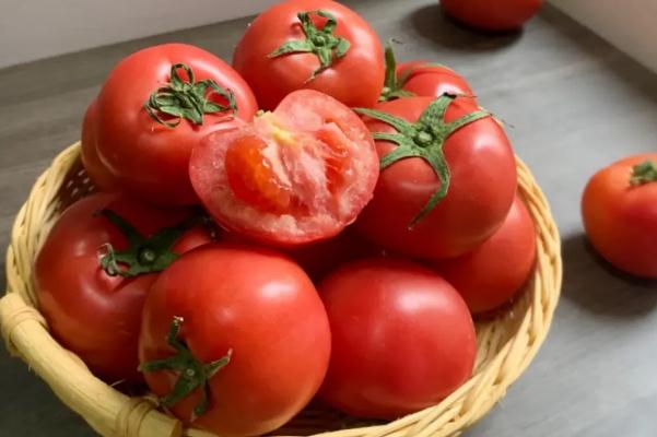 番茄是水果還是蔬菜 番茄要放冰箱嗎 番茄是水果還是蔬菜 番茄要放冰箱嗎